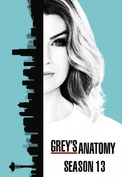 مشاهدة مسلسل Greys Anatomy موسم 13 حلقة 8