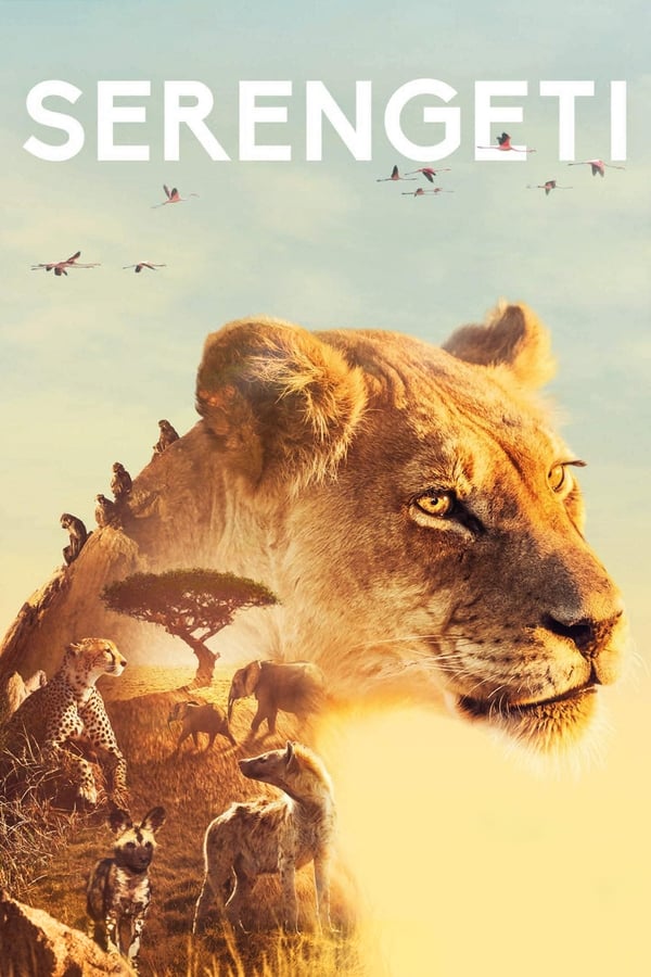 مشاهدة مسلسل Serengeti موسم 2 حلقة 1