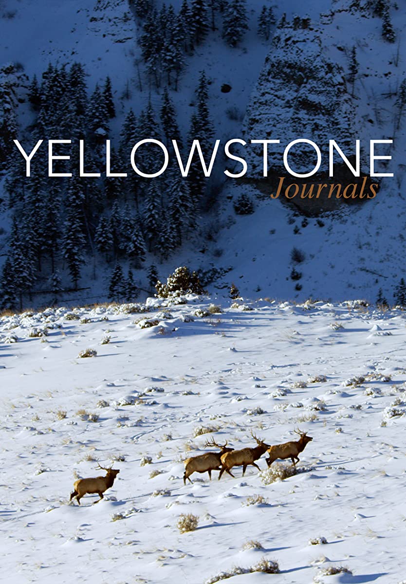 مسلسل Yellowstone موسم 5 حلقة 9